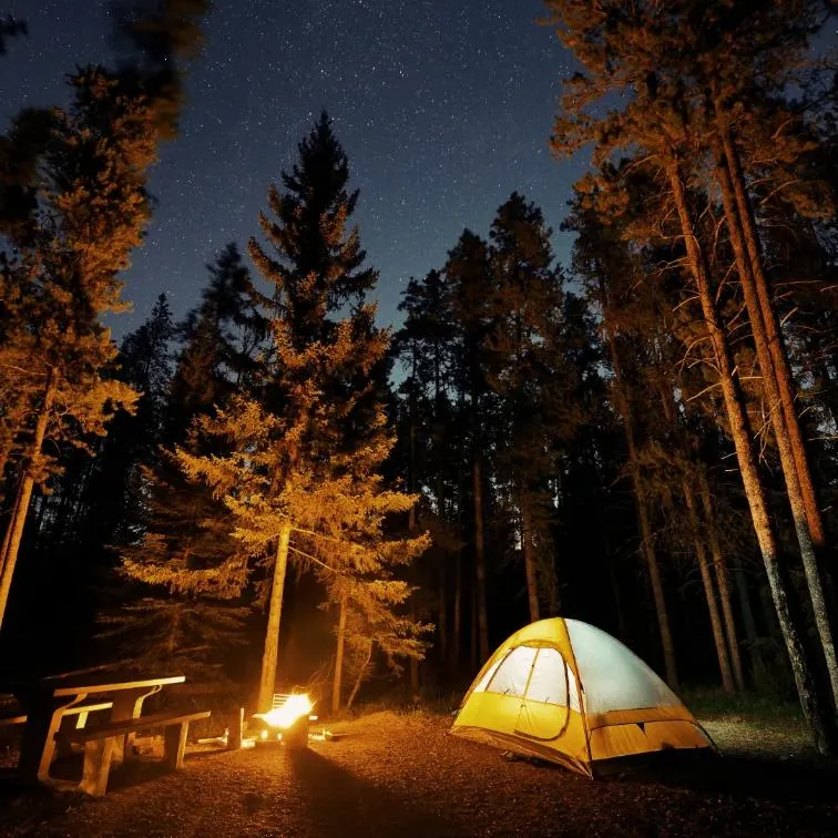 Forest Camping in india